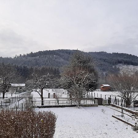 Chez Vovone 3 Etoiles Clevacances Saulxures-sur-Moselotte Eksteriør bilde