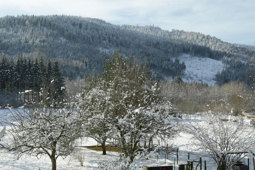 Chez Vovone 3 Etoiles Clevacances Saulxures-sur-Moselotte Eksteriør bilde