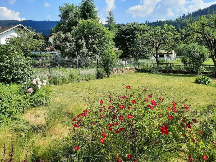 Chez Vovone 3 Etoiles Clevacances Saulxures-sur-Moselotte Eksteriør bilde
