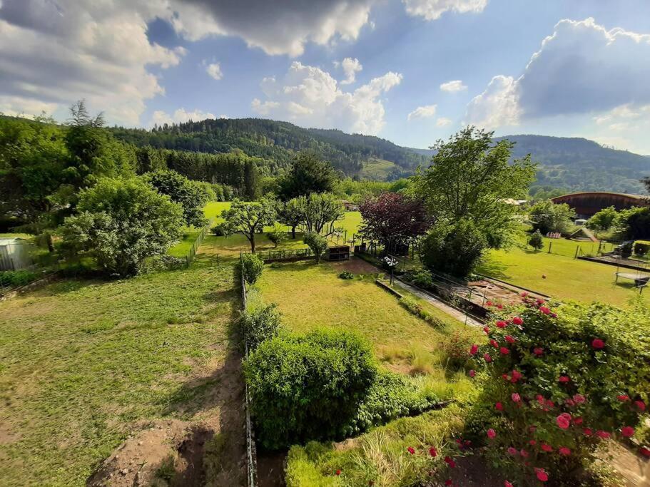 Chez Vovone 3 Etoiles Clevacances Saulxures-sur-Moselotte Eksteriør bilde