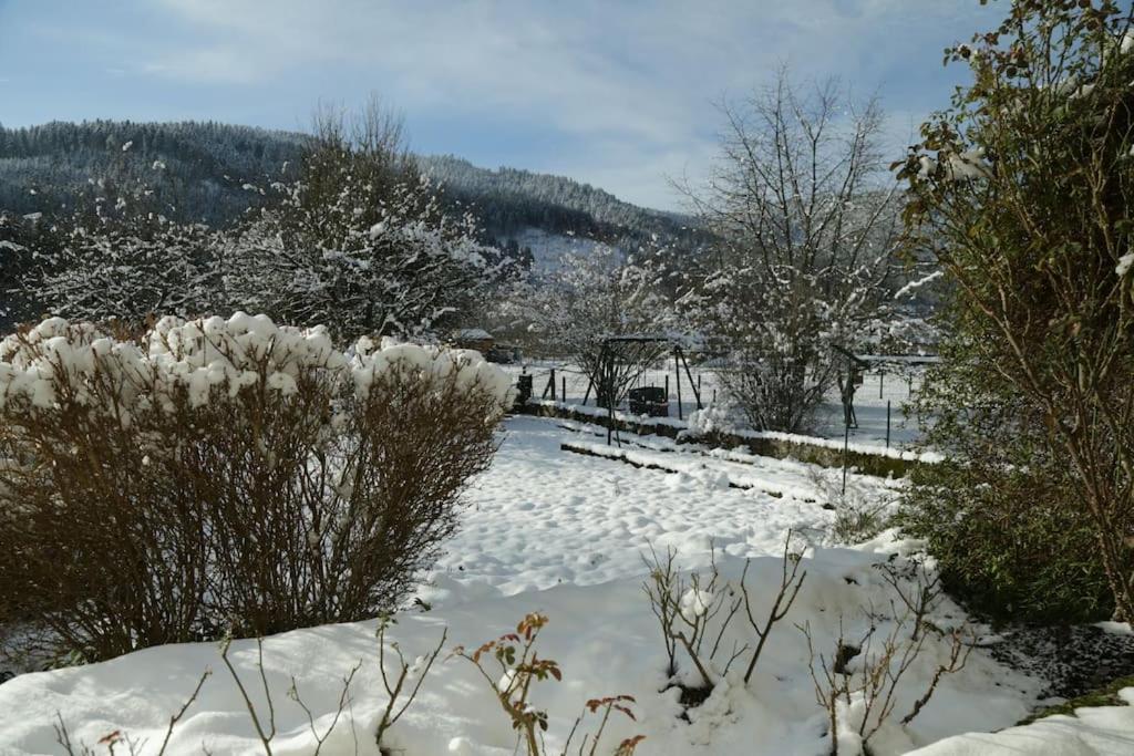 Chez Vovone 3 Etoiles Clevacances Saulxures-sur-Moselotte Eksteriør bilde