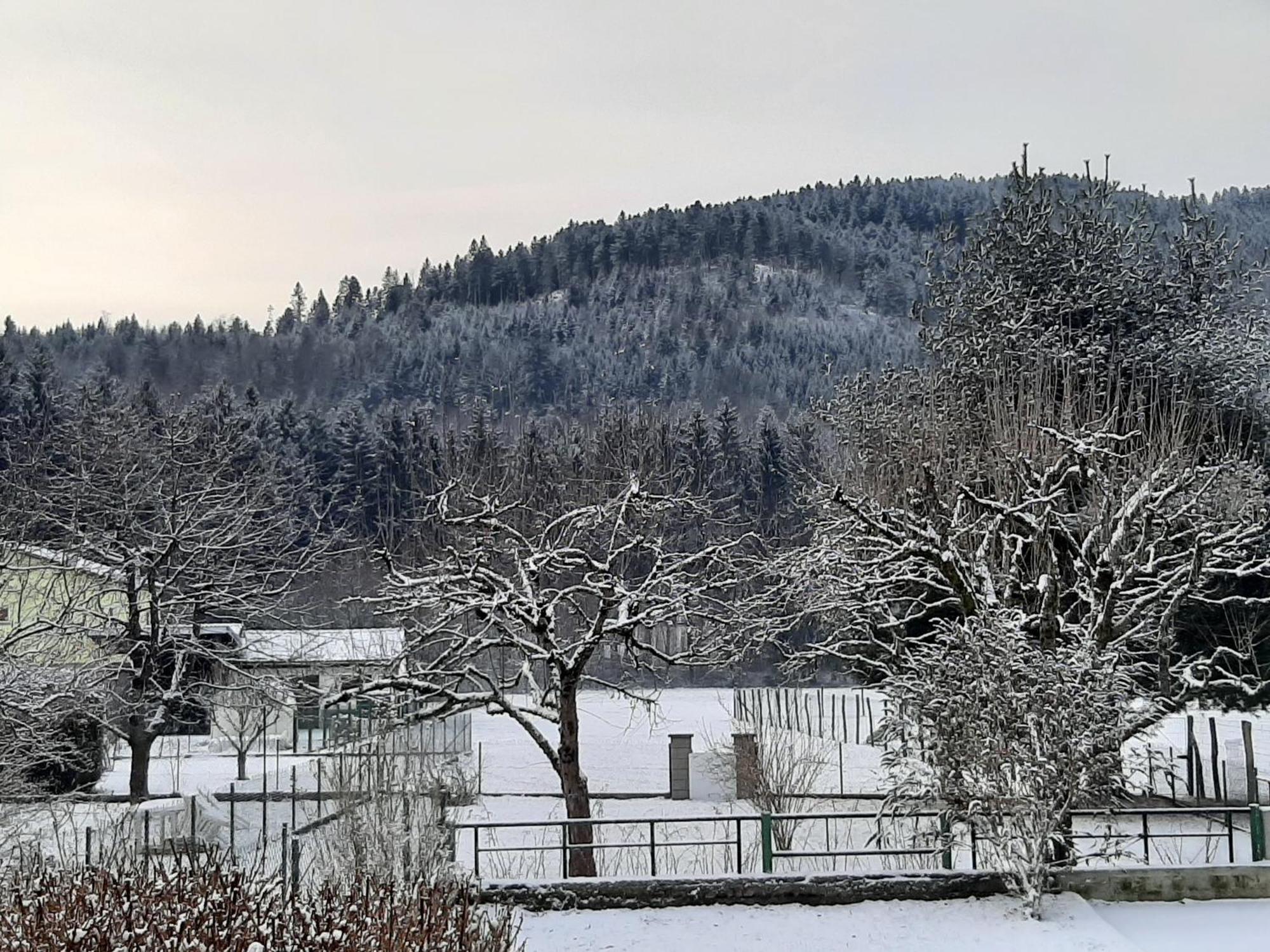 Chez Vovone 3 Etoiles Clevacances Saulxures-sur-Moselotte Eksteriør bilde