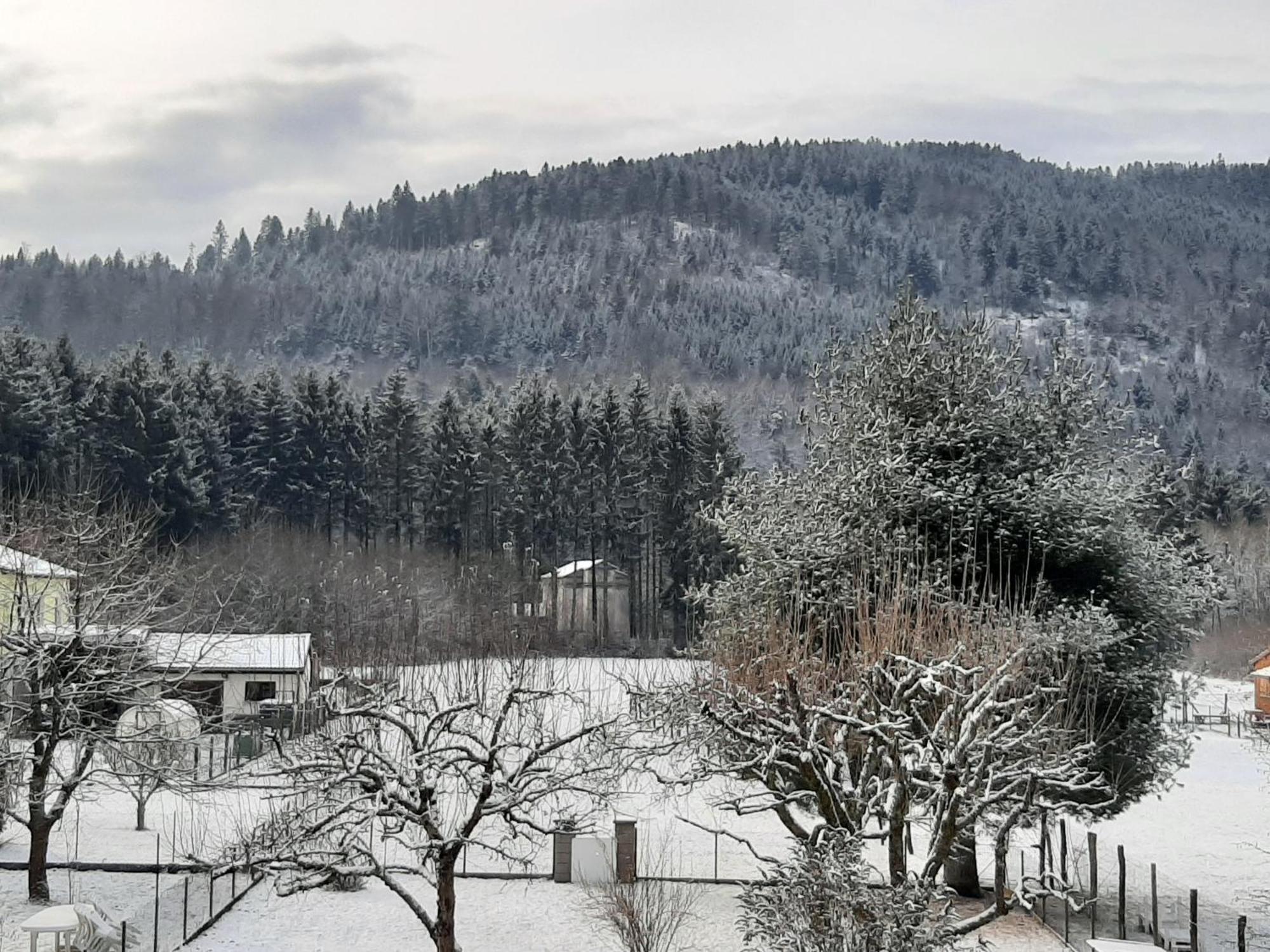 Chez Vovone 3 Etoiles Clevacances Saulxures-sur-Moselotte Eksteriør bilde