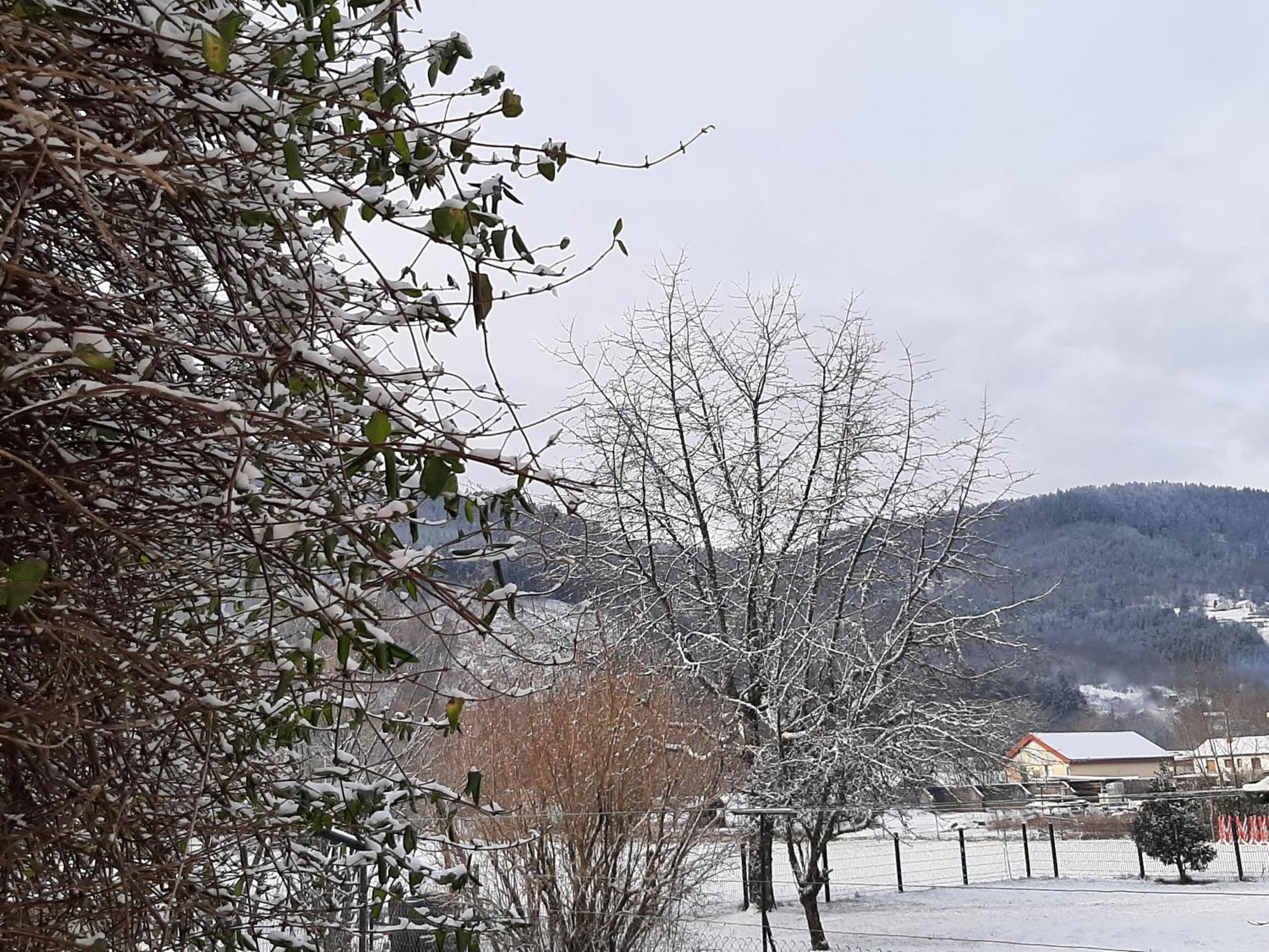 Chez Vovone 3 Etoiles Clevacances Saulxures-sur-Moselotte Eksteriør bilde