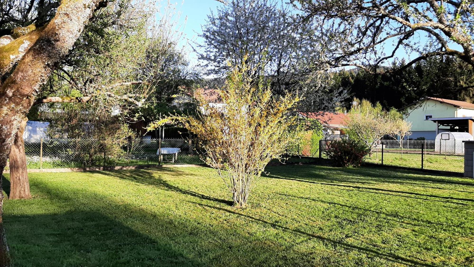 Chez Vovone 3 Etoiles Clevacances Saulxures-sur-Moselotte Eksteriør bilde