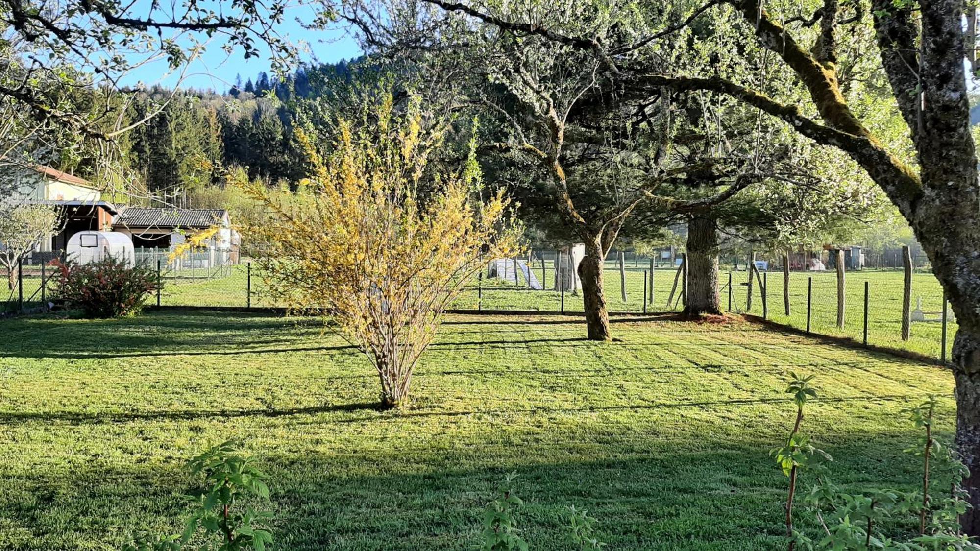 Chez Vovone 3 Etoiles Clevacances Saulxures-sur-Moselotte Eksteriør bilde