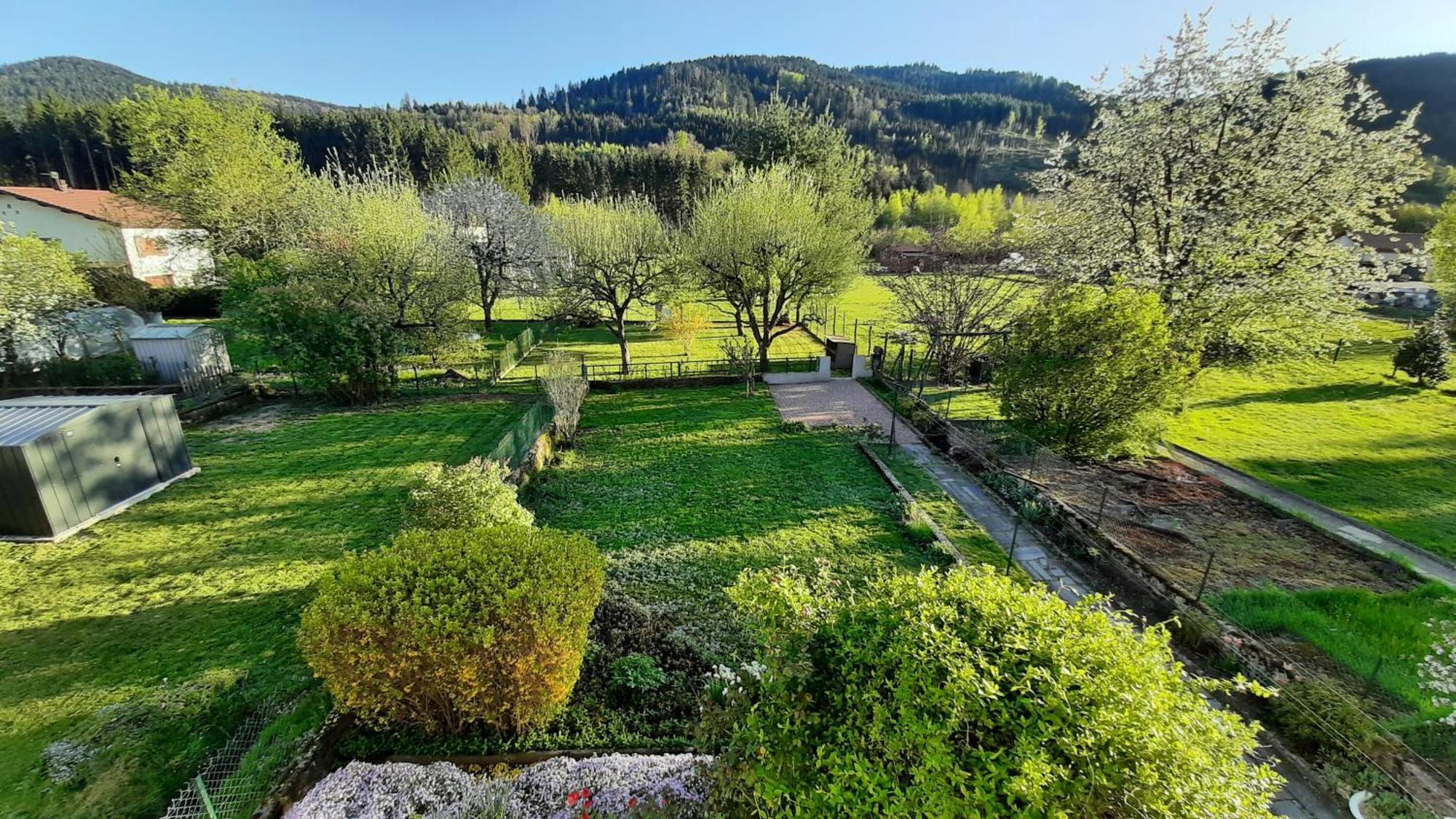 Chez Vovone 3 Etoiles Clevacances Saulxures-sur-Moselotte Eksteriør bilde